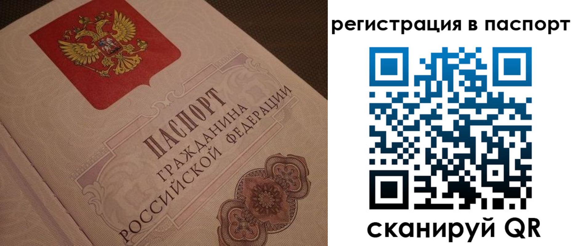временная регистрация надежно в Рудне